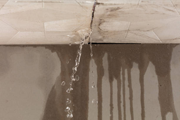 Professional Burst Pipe Cleanup technician working in Plato, MN